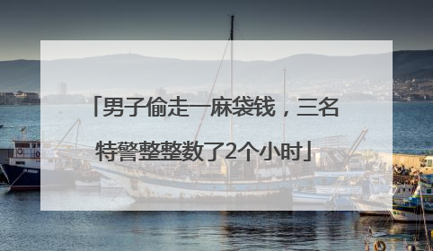 男子偷走一麻袋钱，三名特警整整数了2个小时