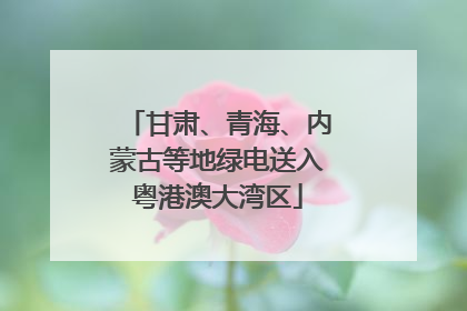 甘肃、青海、内蒙古等地绿电送入粤港澳大湾区