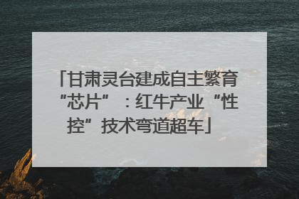 甘肃灵台建成自主繁育“芯片”：红牛产业“性控”技术弯道超车
