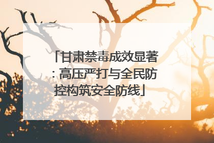 甘肃禁毒成效显著：高压严打与全民防控构筑安全防线