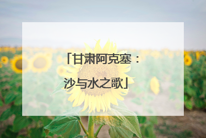 甘肃阿克塞：沙与水之歌