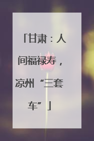 甘肃：人间福禄寿，凉州“三套车”
