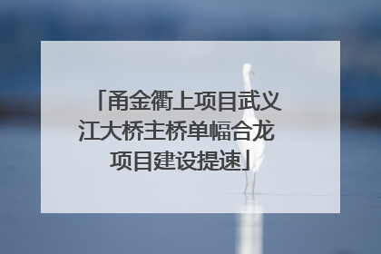 甬金衢上项目武义江大桥主桥单幅合龙 项目建设提速