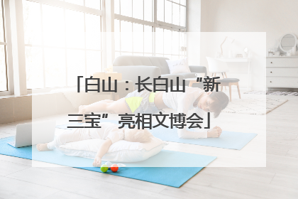 白山：长白山“新三宝”亮相文博会