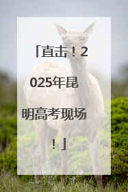 直击！2025年昆明高考现场！