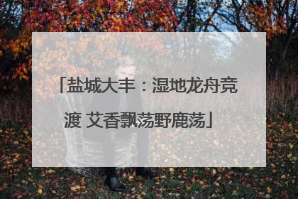 盐城大丰：湿地龙舟竞渡 艾香飘荡野鹿荡