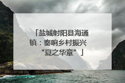 盐城射阳县海通镇：奏响乡村振兴“夏之华章”