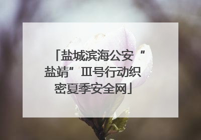 盐城滨海公安“盐靖”Ⅲ号行动织密夏季安全网