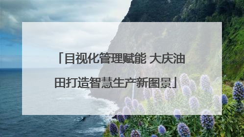 目视化管理赋能 大庆油田打造智慧生产新图景