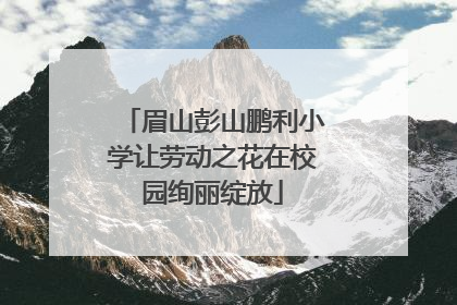 眉山彭山鹏利小学让劳动之花在校园绚丽绽放