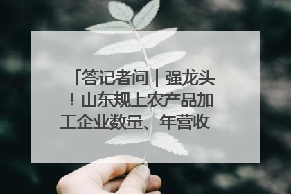 答记者问｜强龙头！山东规上农产品加工企业数量、年营收均居全国首位