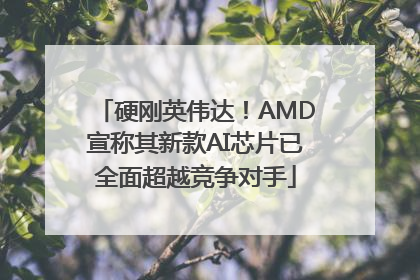 硬刚英伟达！AMD宣称其新款AI芯片已全面超越竞争对手