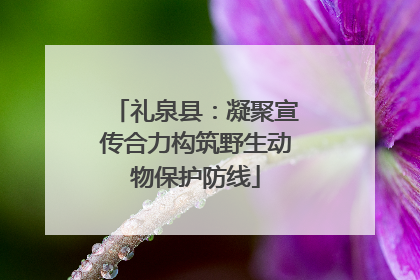 礼泉县：凝聚宣传合力构筑野生动物保护防线