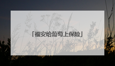福安给葡萄上保险