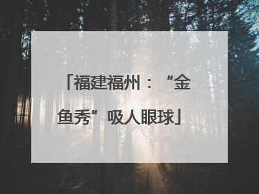 福建福州：“金鱼秀”吸人眼球