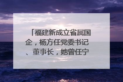 福建新成立省属国企，杨方任党委书记、董事长，她曾任宁德市委副书记｜张田怡已任县委副书记、县政府党组书记