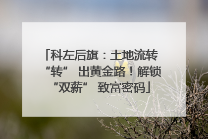 科左后旗：土地流转 “转” 出黄金路！解锁 “双薪” 致富密码