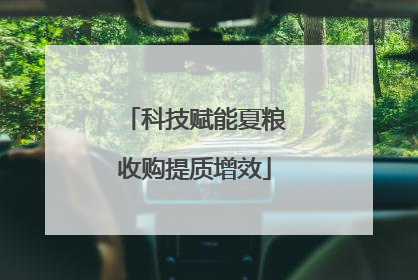 科技赋能夏粮收购提质增效