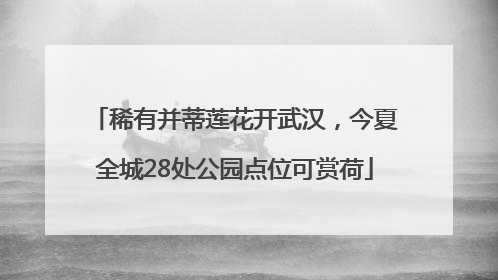 稀有并蒂莲花开武汉，今夏全城28处公园点位可赏荷