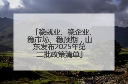 稳就业、稳企业、稳市场、稳预期，山东发布2025年第二批政策清单