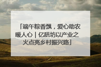 端午粽香飘，爱心助农暖人心｜亿膳坊以产业之火点亮乡村振兴路