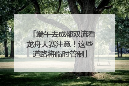 端午去成都双流看龙舟大赛注意！这些道路将临时管制