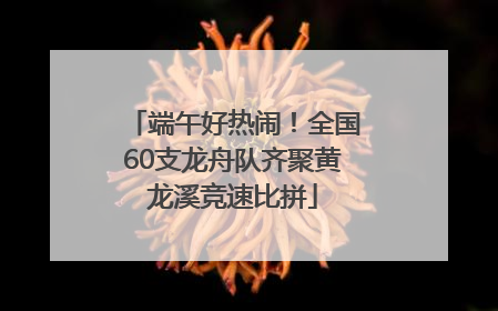 端午好热闹！全国60支龙舟队齐聚黄龙溪竞速比拼
