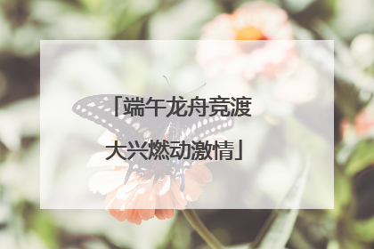 端午龙舟竞渡 大兴燃动激情