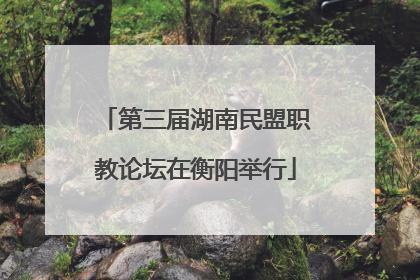 第三届湖南民盟职教论坛在衡阳举行
