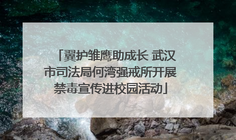 翼护雏鹰助成长 武汉市司法局何湾强戒所开展禁毒宣传进校园活动