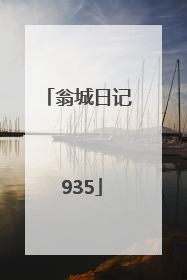 翁城日记 935