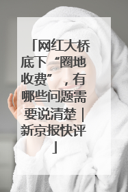 网红大桥底下“圈地收费”，有哪些问题需要说清楚｜新京报快评
