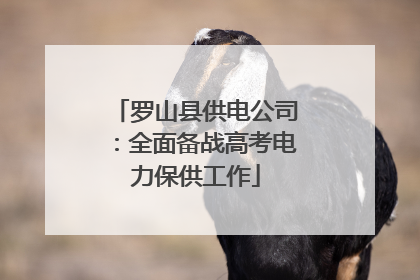 罗山县供电公司：全面备战高考电力保供工作