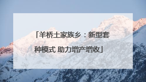 羊桥土家族乡：新型套种模式 助力增产增收