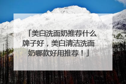 美白洗面奶推荐什么牌子好，美白清洁洗面奶哪款好用推荐！