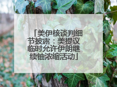 美伊核谈判细节披露：美提议临时允许伊朗继续铀浓缩活动