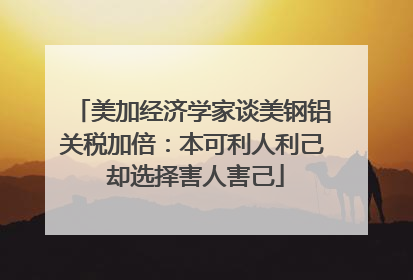 美加经济学家谈美钢铝关税加倍：本可利人利己 却选择害人害己