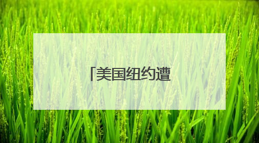 美国纽约遭遇高温天气