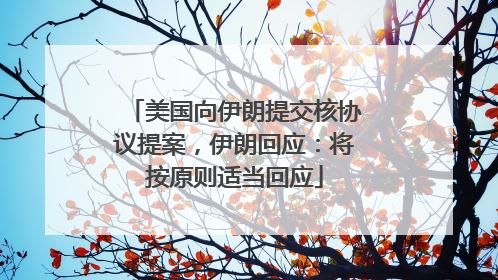 美国向伊朗提交核协议提案，伊朗回应：将按原则适当回应