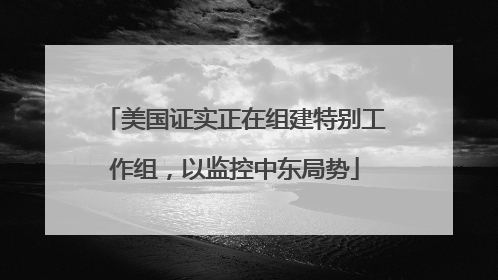 美国证实正在组建特别工作组，以监控中东局势