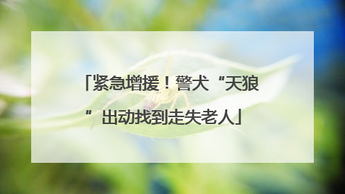 紧急增援！警犬“天狼”出动找到走失老人