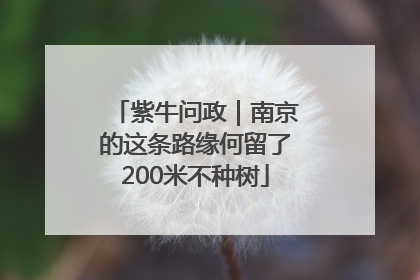 紫牛问政｜南京的这条路缘何留了200米不种树