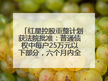 红星控股重整计划获法院批准：普通债权中每户25万元以下部分，六个月内全额现金清偿
