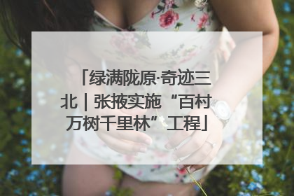 绿满陇原·奇迹三北｜张掖实施“百村万树千里林”工程