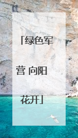 绿色军营 向阳花开