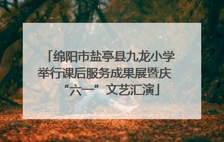 绵阳市盐亭县九龙小学举行课后服务成果展暨庆“六一”文艺汇演