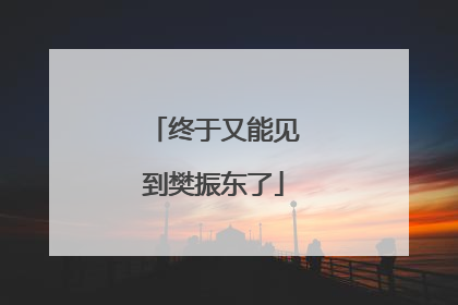 终于又能见到樊振东了