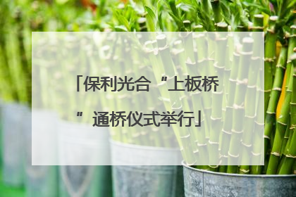 保利光合“上板桥”通桥仪式举行