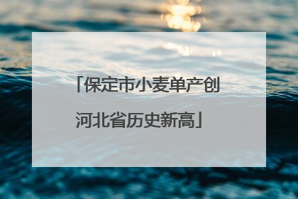 保定市小麦单产创河北省历史新高