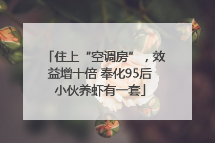 住上“空调房”，效益增十倍 奉化95后小伙养虾有一套